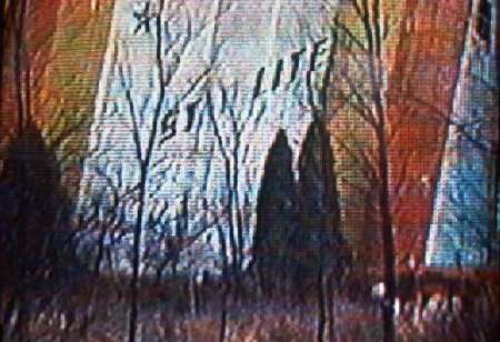 Starlite Drive-In Theatre - Screen - Photo From Rg